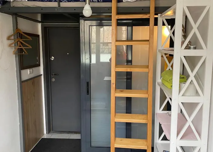 And Cozy ソフィア