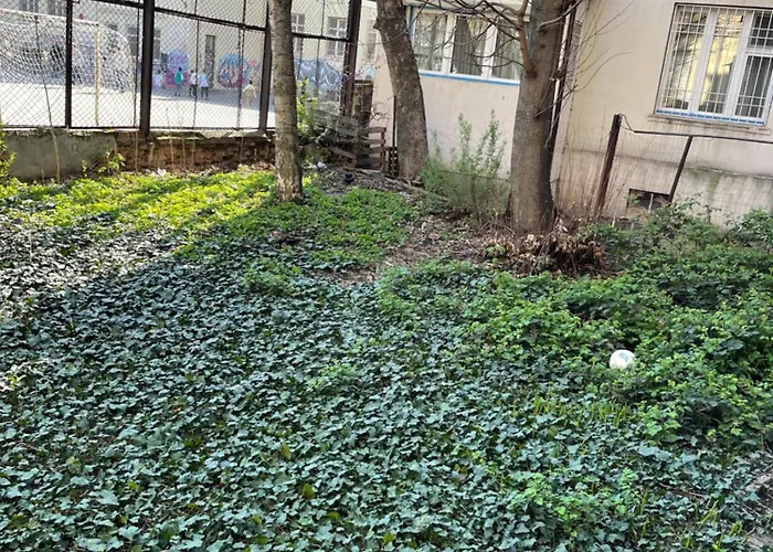 And Cozy アパート *